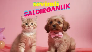 2hbn Sevimli Saldırganlık Post Kapak Görseli