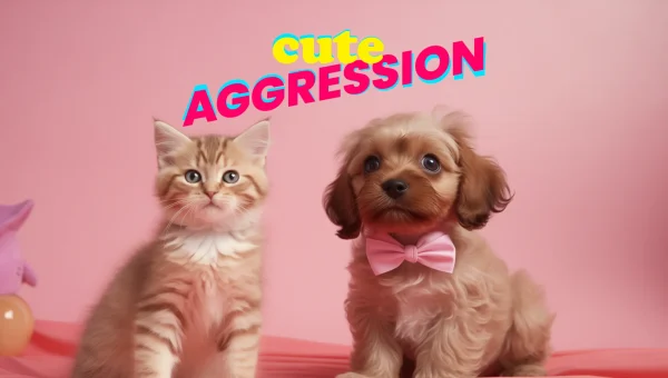 2hbn Cute Aggression Post Cover Image